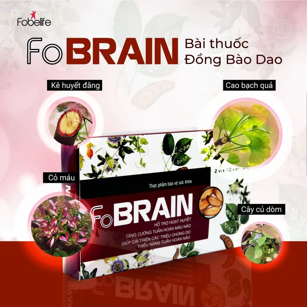 Alternative view of Viên Uống Hỗ Trợ Rối Loạn Tiền Đình Fobrain - Fobelife