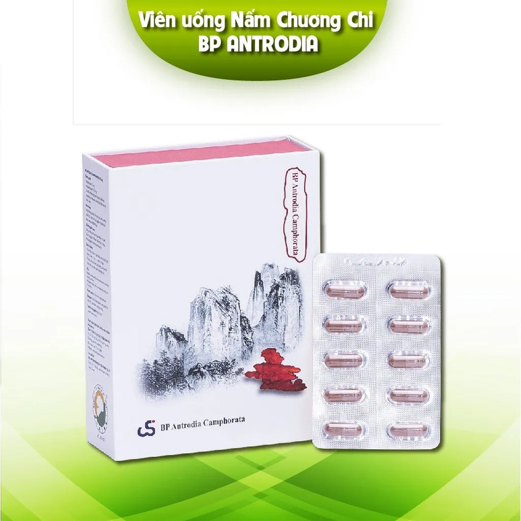 Viên Ngăn Ngừa Đa Kháng Thuốc Trong Hóa Trị Liệu Bp Antrodia Camphorata - Bp Pharma