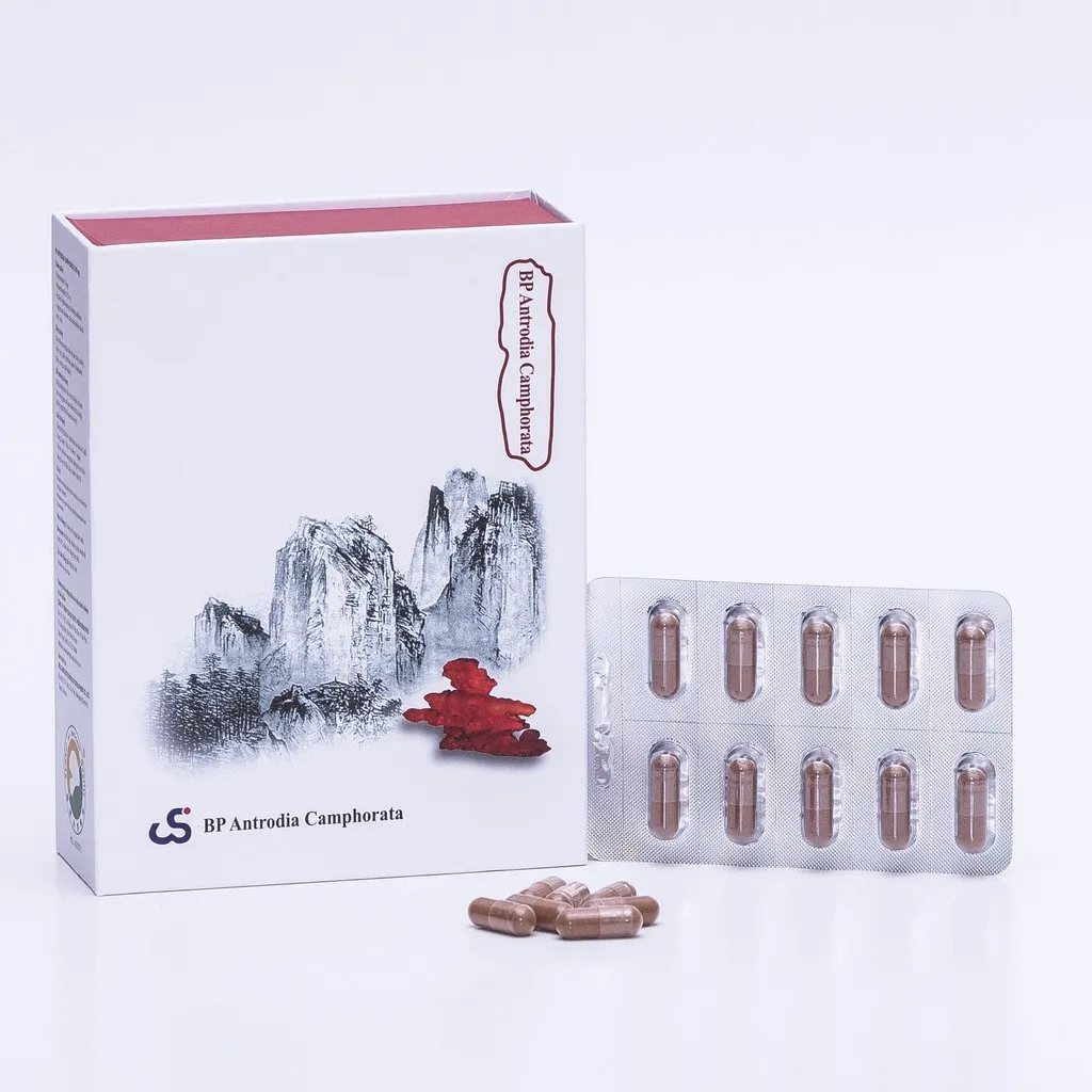 Alternative view of Viên Ngăn Ngừa Đa Kháng Thuốc Trong Hóa Trị Liệu Bp Antrodia Camphorata - Bp Pharma