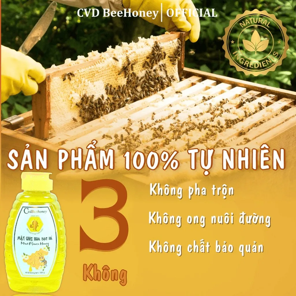 Alternative view of Mật Ong Hoa Bạc Hà 500g - Cvdbeehoney