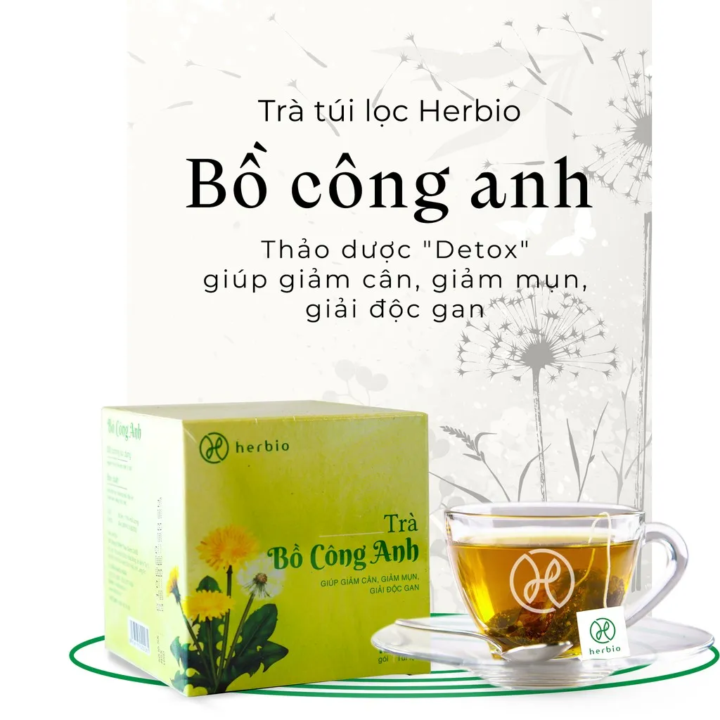 Trà Bồ Công Anh Túi Lọc - Herbio