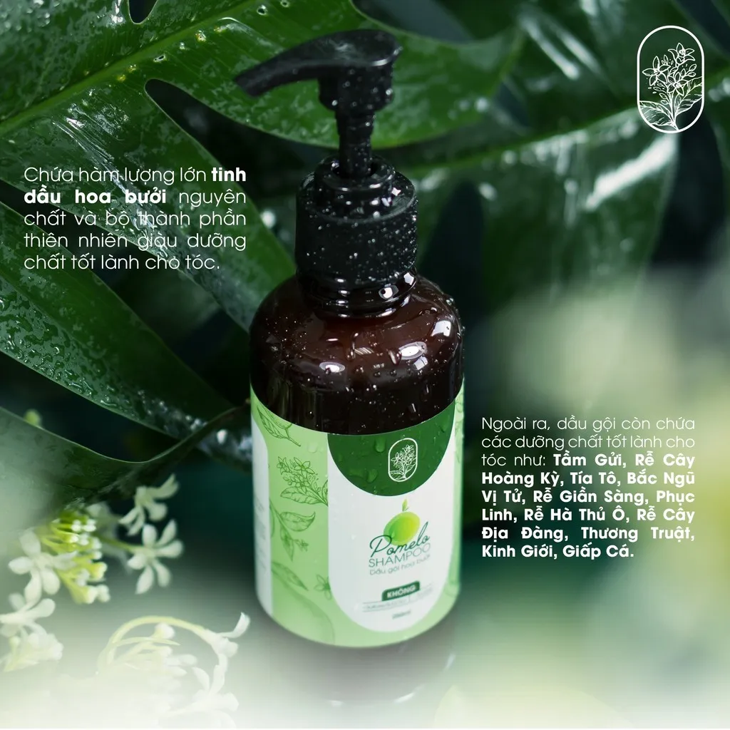 Alternative view of Combo 2 Chai Dầu Gội Hoa Bưởi Giảm Gãy Rụng Tóc 250ml - Neo Nature