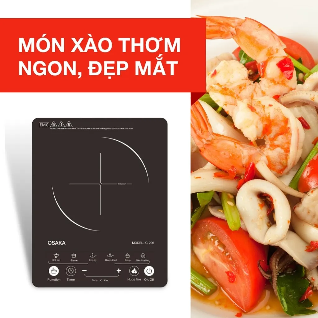Bếp Điện Từ Cảm Ứng Ic-206 Siêu Mỏng - Osaka