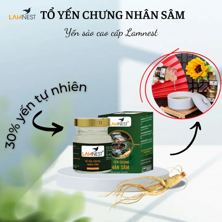 Tổ Yến Chưng Nhân Sâm - Lamnest