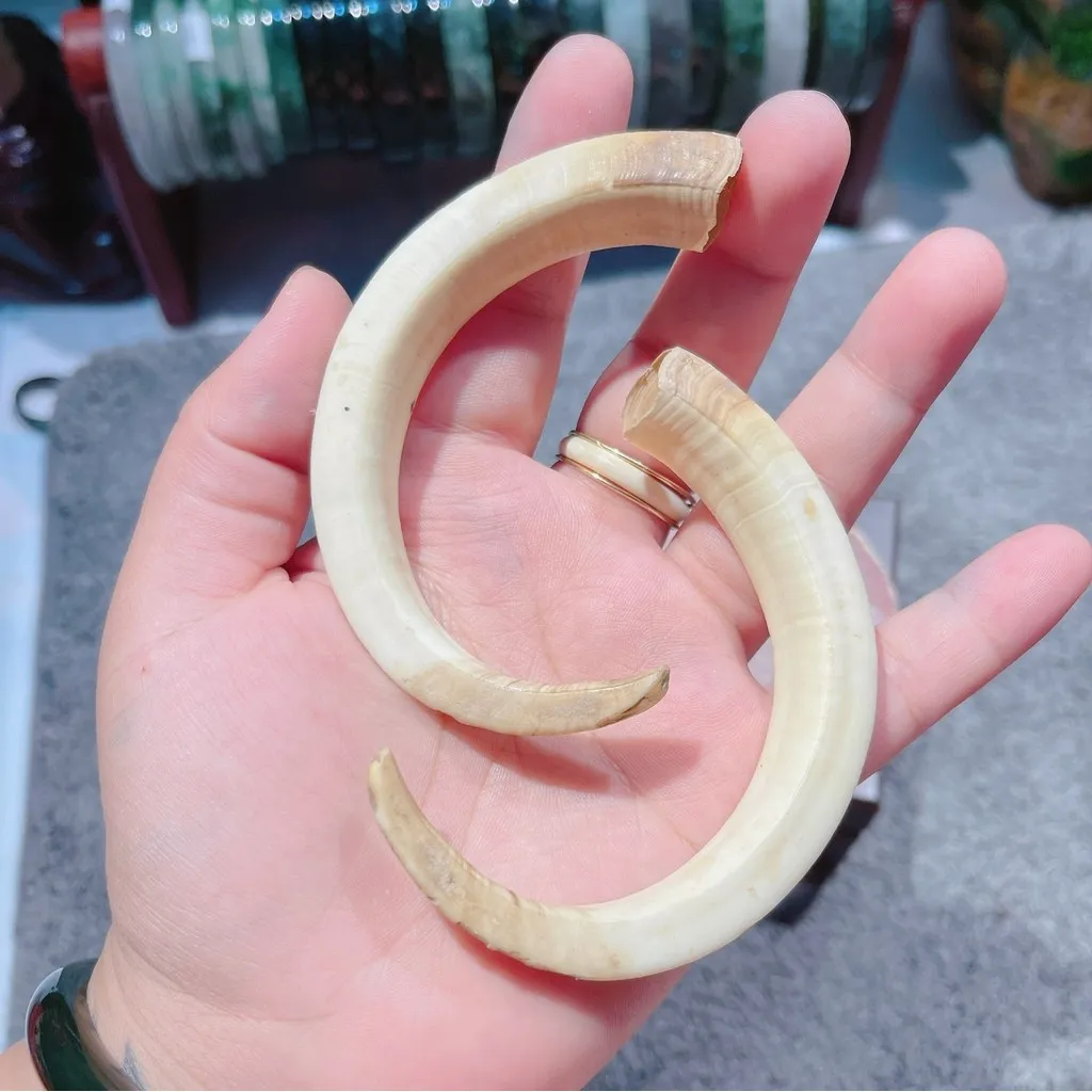 Alternative view of [ 1 Cái ] Mặt Dây Chuyền Nanh Heo Rừng Màu Ngà - Thắng Giang