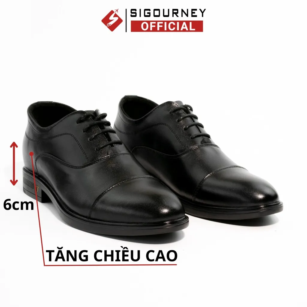 Giày Nam Tăng Chiều Cao 6cm Sig-33 - Sigourney