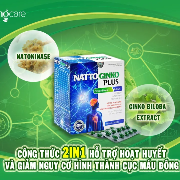 Viên Uống Hổ Trợ Tăng Cường Tuần Hoàn Máu Não, Giảm Nguy Cơ Hình Thành Cục Máu Đông Natto Ginko Plus 100 Viên - Singcare