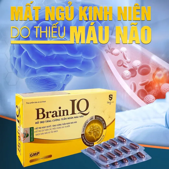 Viên Uống Hổ Trợ Tăng Cường Tuần Hoàn Não Brain Iq 30 Viên - Singcare