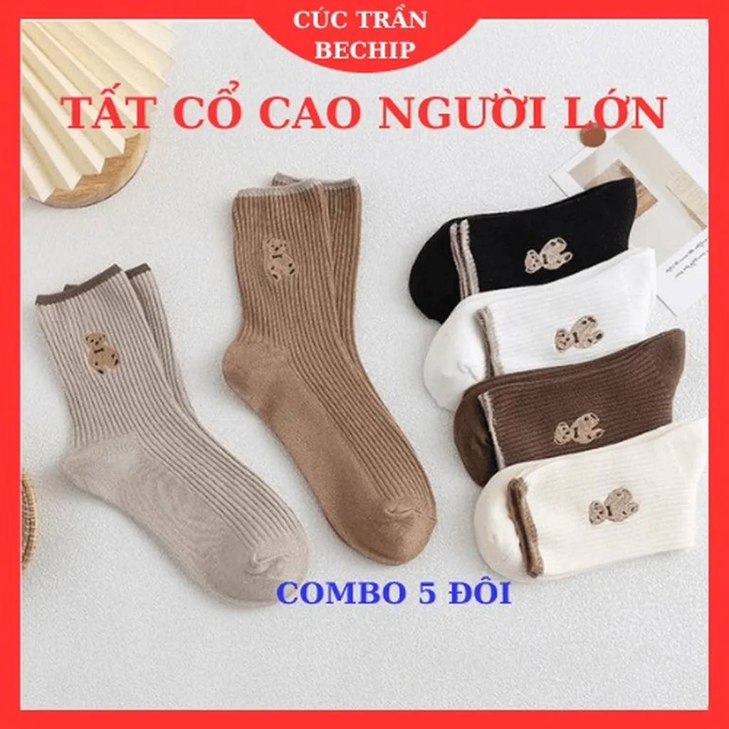 Combo 5 Đôi Tất Người Lớn Cổ Cao Thời Trang Hàn Quốc Ctb04 - Bechip
