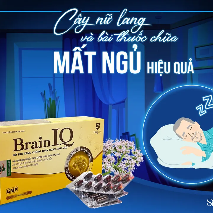 Alternative view of Combo 3 Hộp Viên Uống Hổ Trợ Tăng Cường Tuần Hoàn Não Brain Iq - Singcare
