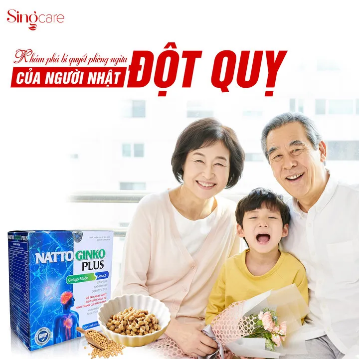 Combo 2 Hộp Viên Uống Hổ Trợ Tăng Cường Tuần Hoàn Máu Não, Giảm Nguy Cơ Hình Thành Cục Máu Đông Natto Ginko Plus 100 Viên- Singcare