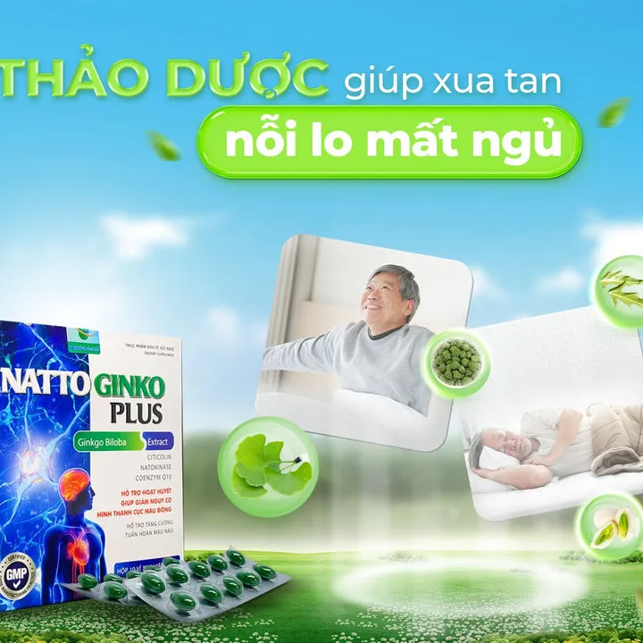 Alternative view of Combo 2 Hộp Viên Uống Hổ Trợ Tăng Cường Tuần Hoàn Máu Não, Giảm Nguy Cơ Hình Thành Cục Máu Đông Natto Ginko Plus 100 Viên- Singcare