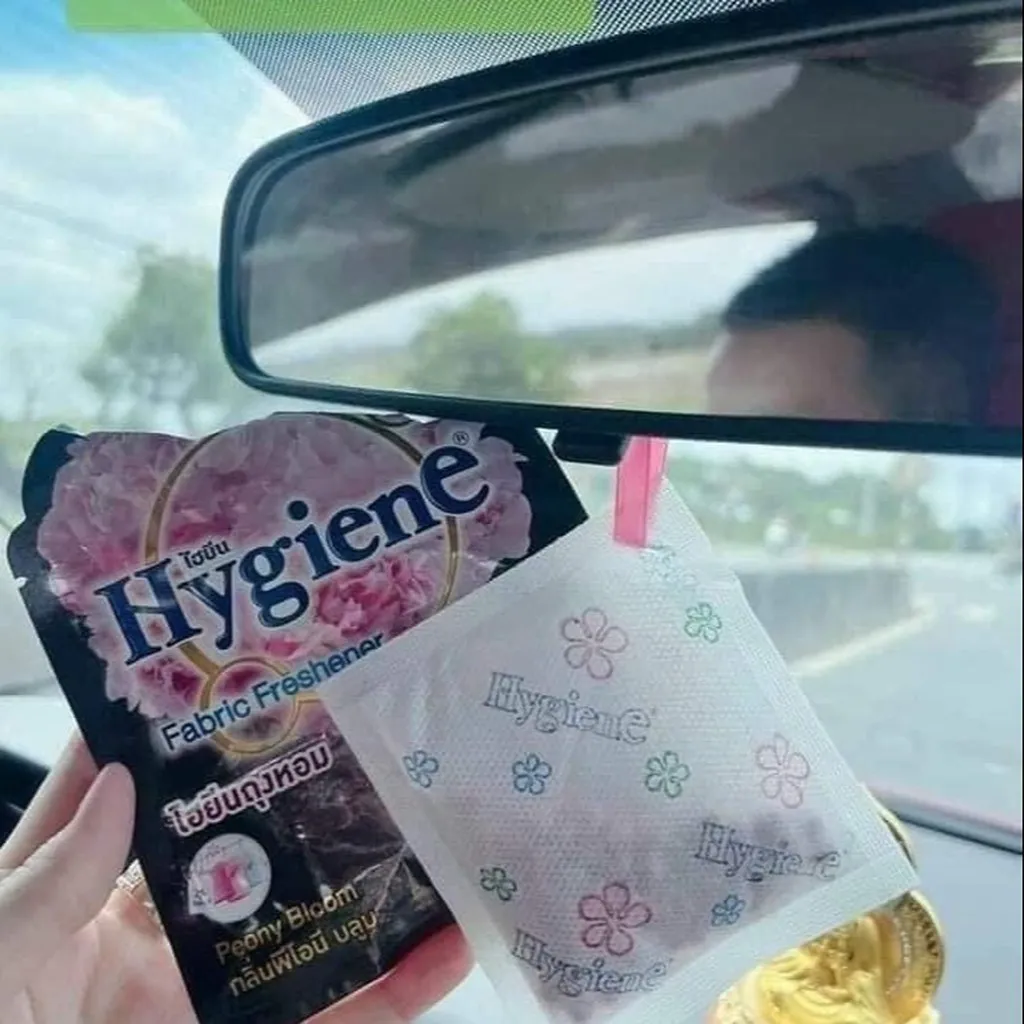 Túi Thơm Để Tủ Quần Áo Hygiene 50ggam - Hygiene