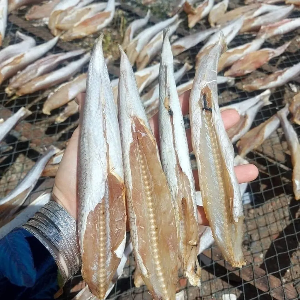 Khô Cá Mối Nguyên Con Muối Mặn 500g - Vựa Khô Bến Tre