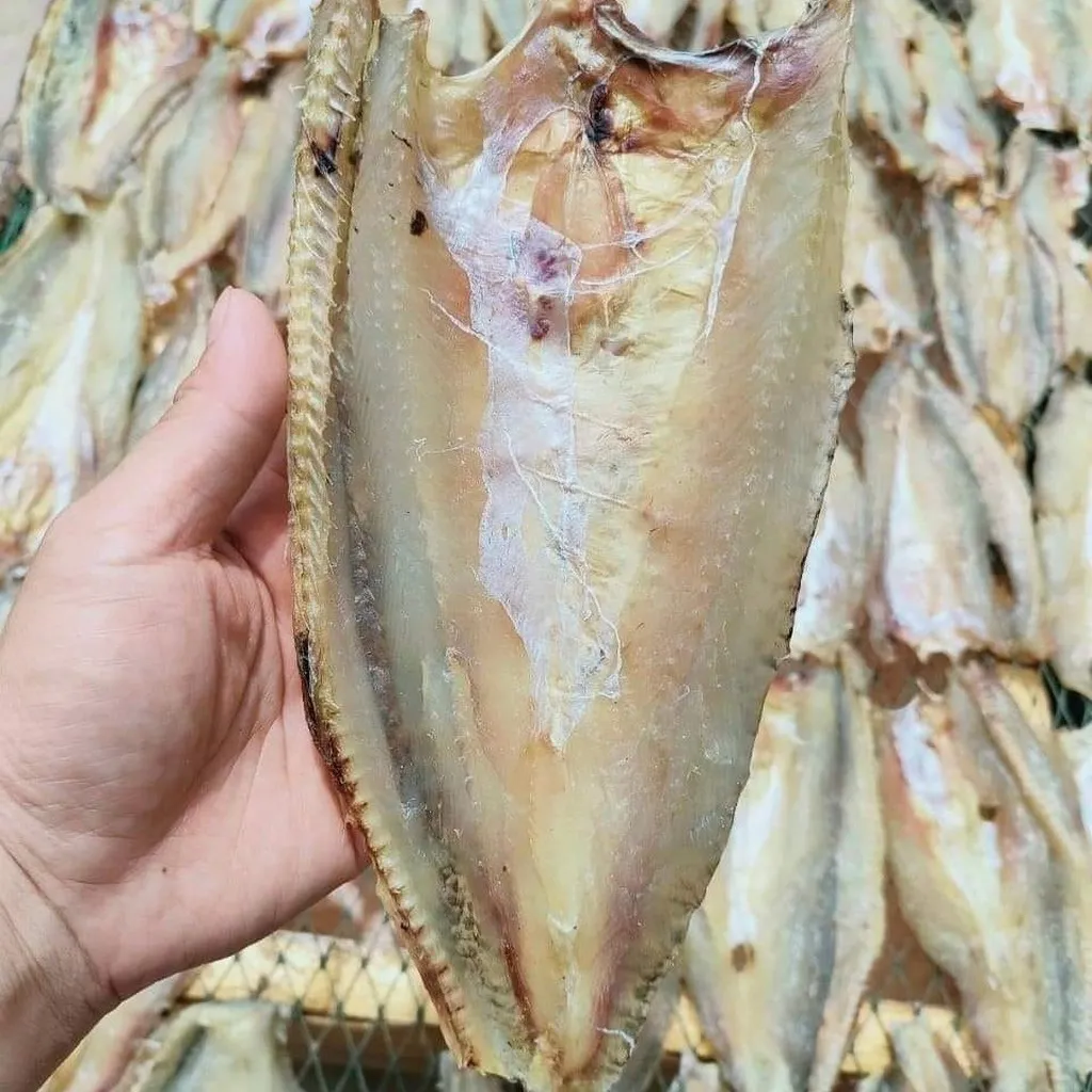 Khô Cá Mối Xẻ Ướp Mặn Vừa Ăn 500g - Vựa Khô Bến Tre