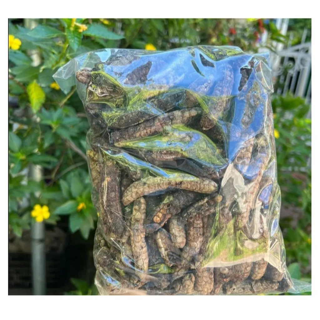 Alternative view of Chuối Hột Rừng Tây Nguyên Túi 1kg Ctb383 - Bechip