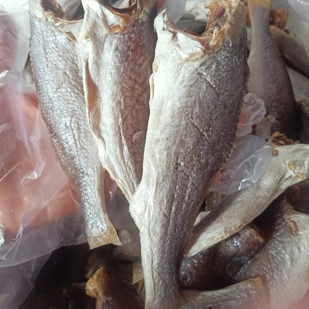 Khô Cá Đù Ướp Mặn 500g 10tới15 Con - Vựa Khô Bến Tre