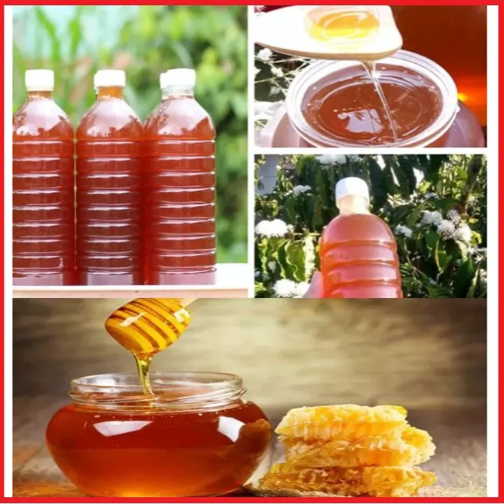 Alternative view of Mật Ong Hoa Cà Phê Đắk Lắc Nguyên Chất 100% Chai 1l Ctb419 - Bechip