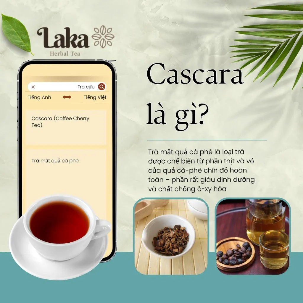 Alternative view of Combo Tặng Quà - 2 Hộp Trà Cà Phê Cascara Laka 100gr, 100% Quả Cà Phê Tươi Chín Mọng, Công Nghệ Enzyme Độc Quyền
