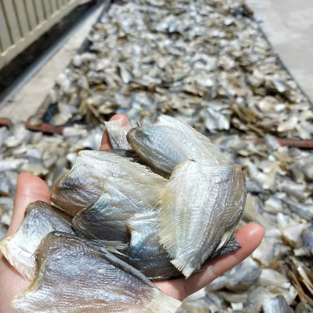 Khô Cá Sặc Mini Vị Mặn Vừa Ăn 500g - Vựa Khô Bến Tre