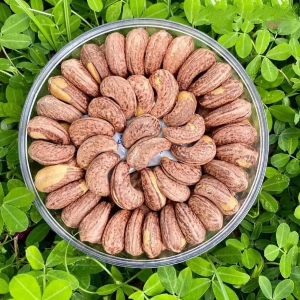 Hạt Điều Rang Muối Loại A+ Chuyên Biếu Tặng 500gr - Pg Bag