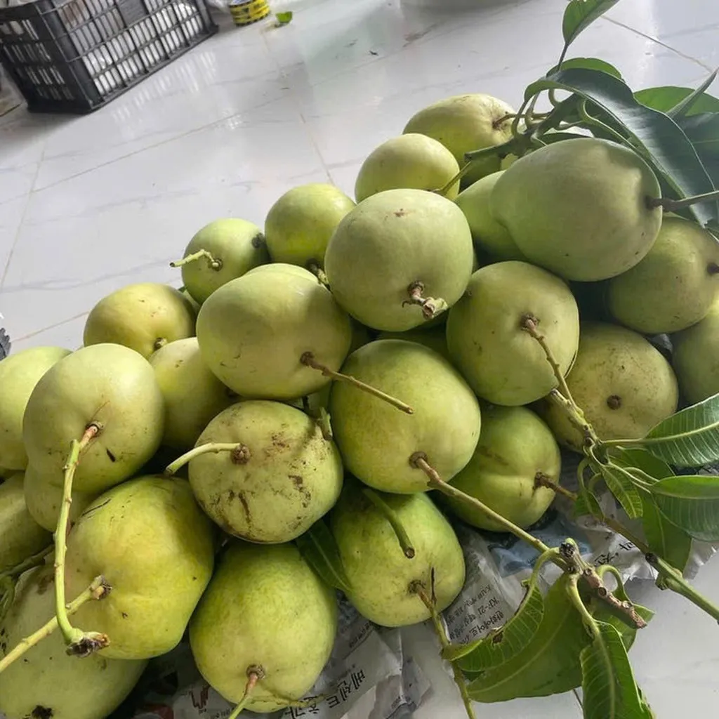 Alternative view of Mứt Xoài Tứ Quý 450g Chua Nhẹ Ngọt Vừa- Vựa Khô Bến Tre