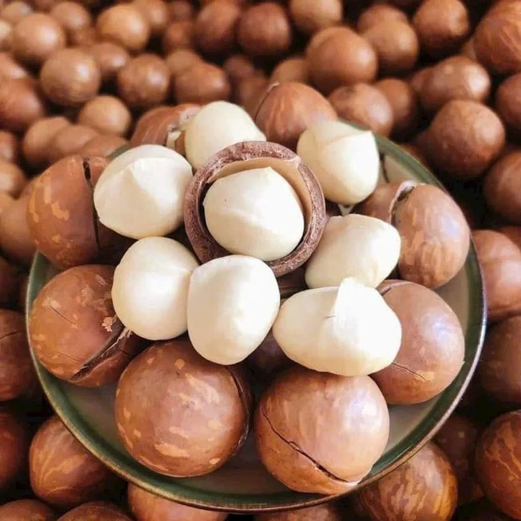 Hạt Macca Bùi Béo Dinh Dưỡng, Nữ Hoàng Trong Các Loại Hạt 500g - Winnie House