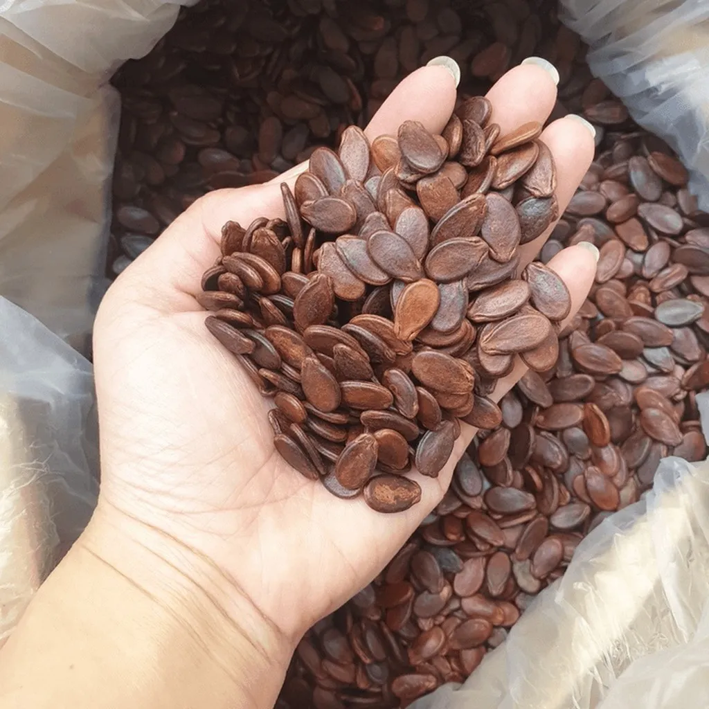 Alternative view of Hạt Dưa Rang Củi Loại 1 Không Phẩm Màu 500g - Winnie House