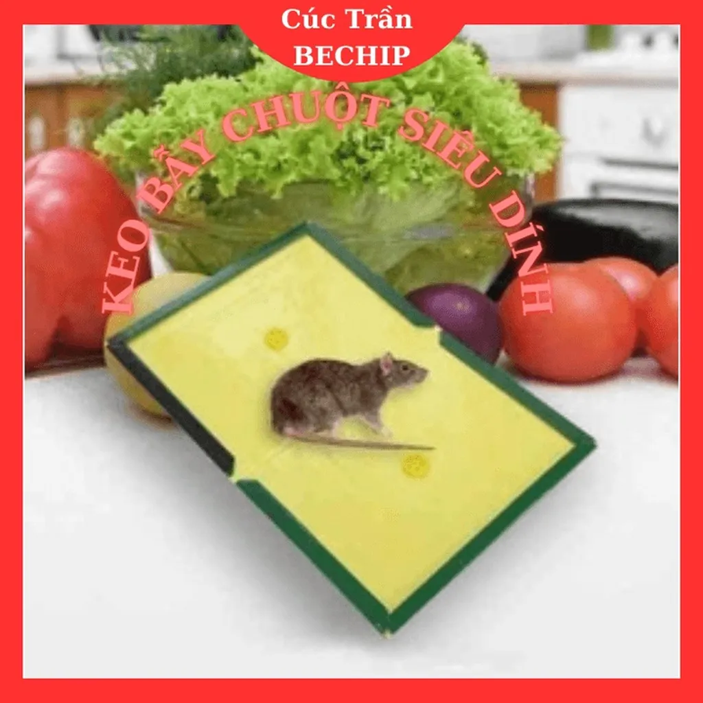 Keo Bẫy Chuột Siêu Dính Ctb548 - Bechip
