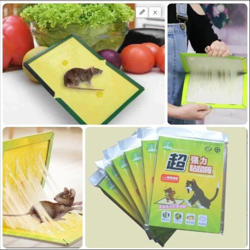 Alternative view of Keo Bẫy Chuột Siêu Dính Ctb548 - Bechip