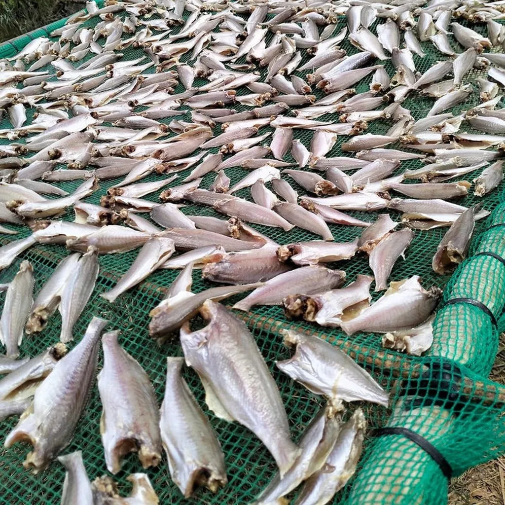 Alternative view of 1kg Khô Cá Đù - Vưa Khô Bến Tre