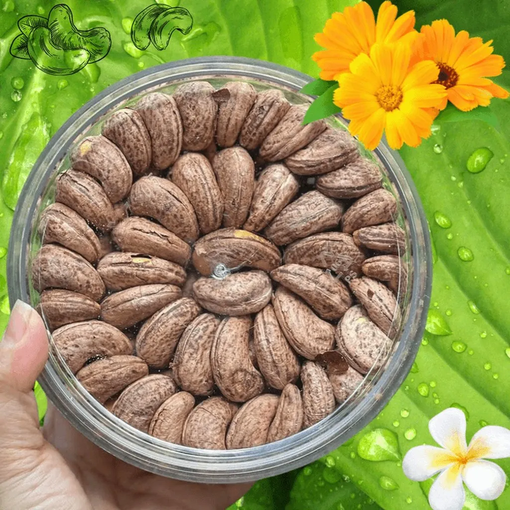 Hạt Điều Cồ Rang Muối Xếp Hoa 500g - Winnie House