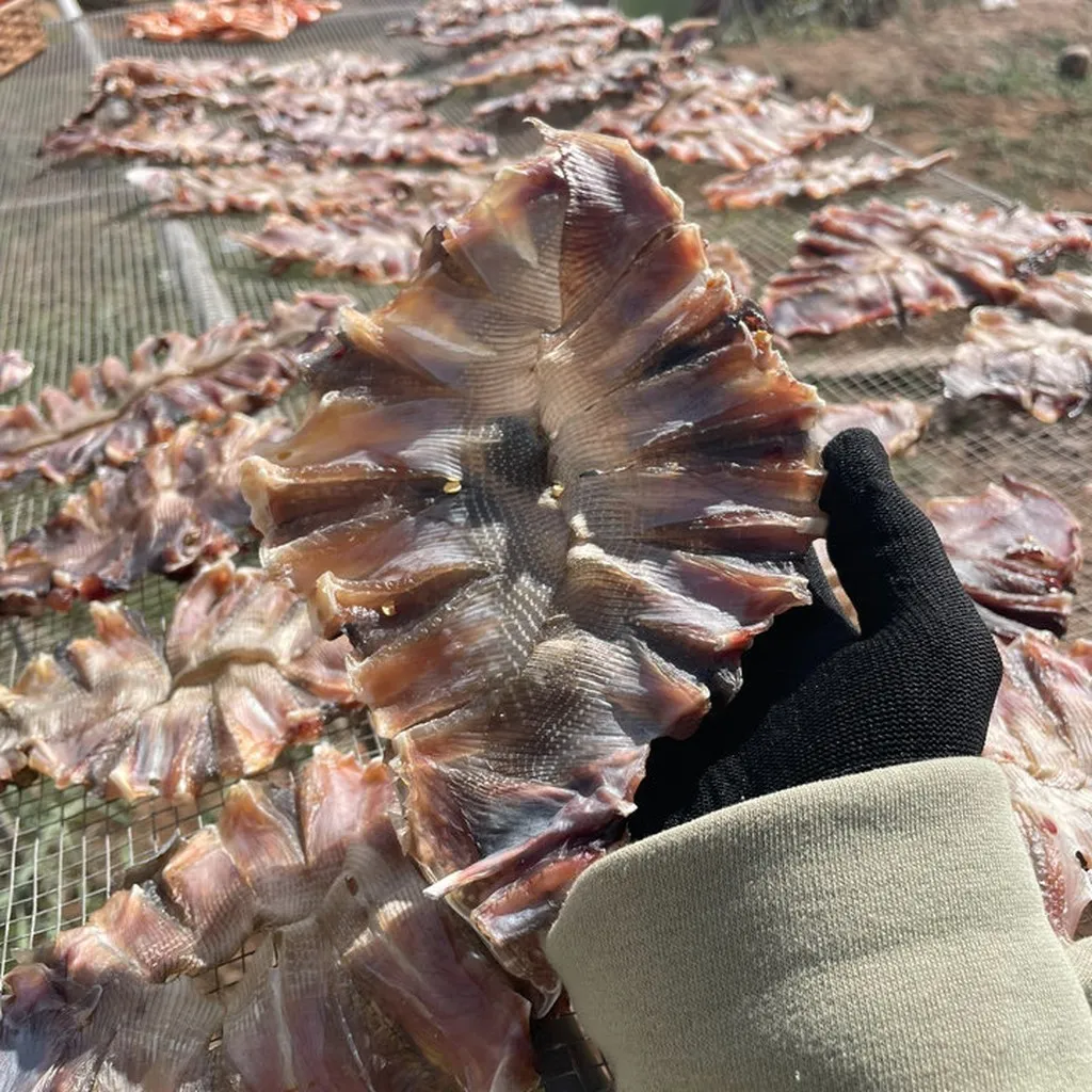 Alternative view of 500g Khô Cá Đuối Ướp Gia Vị Vừa Ăn - Vựa Khô Bến Tre