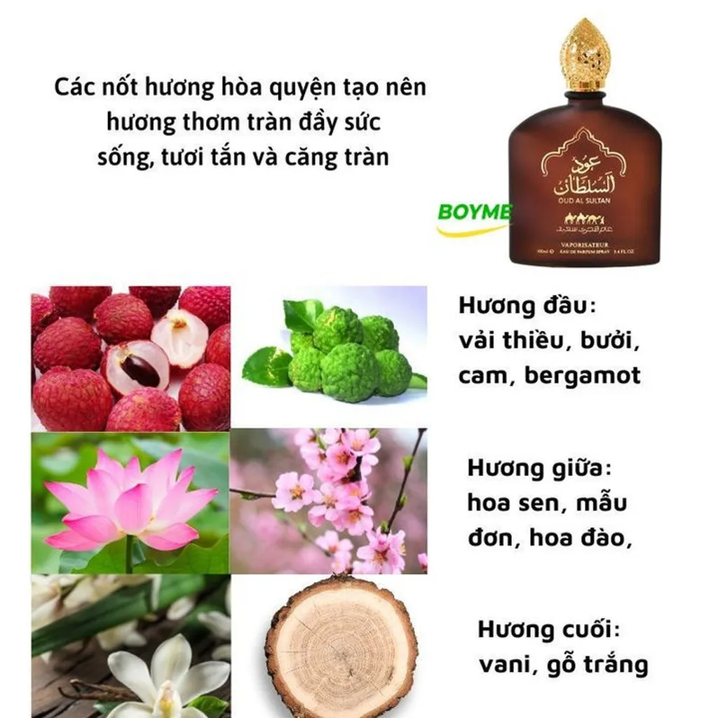 Alternative view of Nước Hoa Thơm Lâu Nội Địa Trung 100ml Sultan Lấy Cảm Hứng Từ Vương Quốc Dubai Đẳng Cấp, Quyền Lực - Gdn