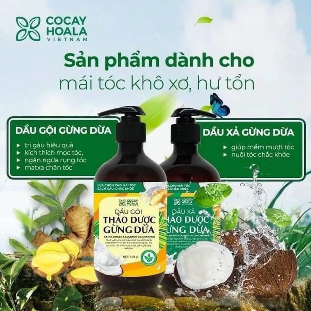 Cặp Dầu Gội Xả Thảo Dược Gừng Dừa Cỏ Cây Hoa Lá 440g X2