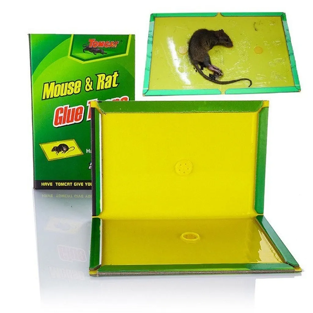 Miếng Dán Dính Chuột - Miếng Dán Bẫy Chuột