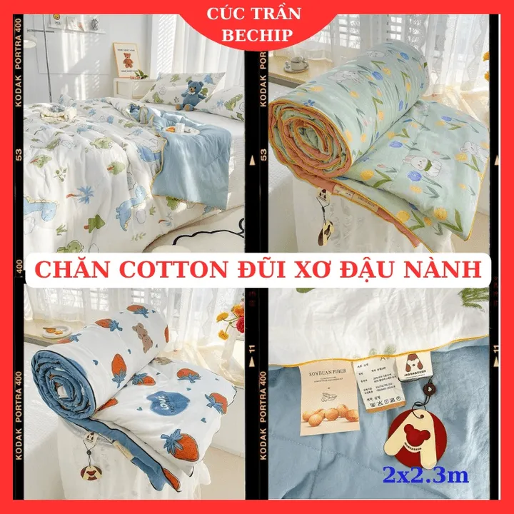 Chăn Hè Cotton Đũi Hàn Quốc Chần Bông Xơ Đậu Nành Mềm Mại 2×2,3m Cbt677 - Bechip