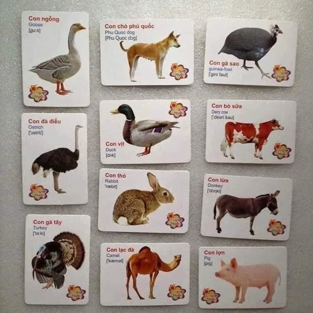 Alternative view of Thẻ Học Flash Card Cho Bé