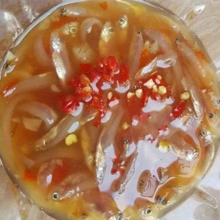 Mắm Cá Cơm Chưa Trộn Đu Đủ 500g - Vựa Khô Bến Tre