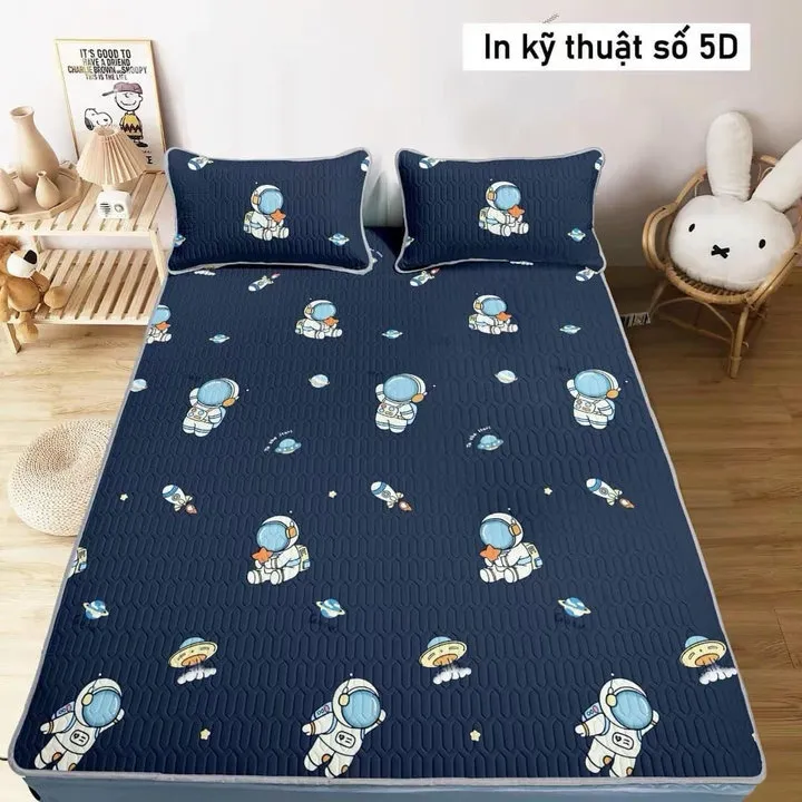 Chiếu Điều Hòa Cao Su Non Thoáng Mát