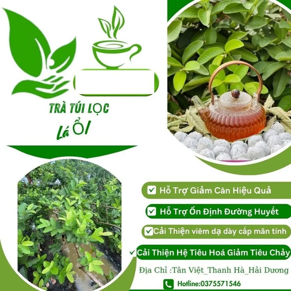 Alternative view of Trà Lá Ổi Giảm Cân Túi Lọc, Bay Xẹp Bụng, Thon Gọn Dáng, Set 10 Túi Ctb753 - Bechip