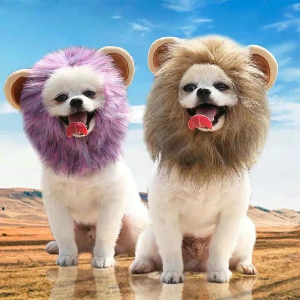 Mũ Sư Tử Cho Thú Cưng Chó Mèo