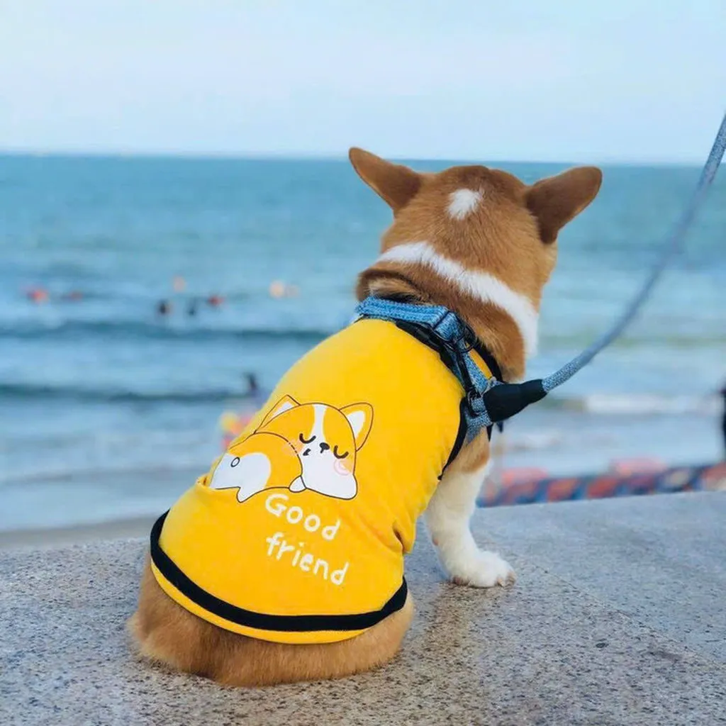 Alternative view of Áo Ba Lỗ Corgi Dành Cho Thú Cưng Chó Mèo
