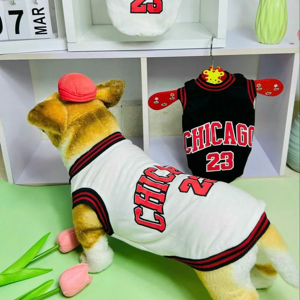 Alternative view of Áo Chicago Sang Xịn Dành Cho Thú Cưng Chó Mèo