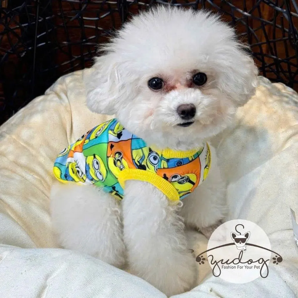 Áo Minion Cute Cho Thú Cưng Chó Mèo
