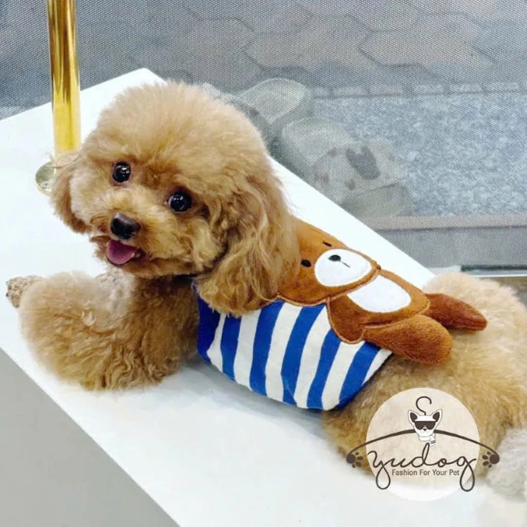Alternative view of Áo Dây Phom Croptop Gấu Cute Cho Thú Cưng Chó Mèo