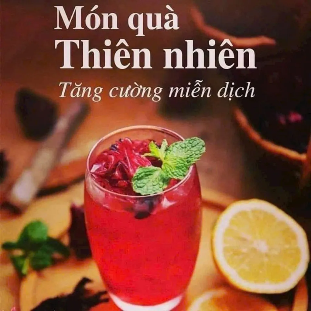 Siro Atiso Đỏ – Giải Nhiệt, Đẹp Da, Tốt Cho Gan 1kg - Winnie House