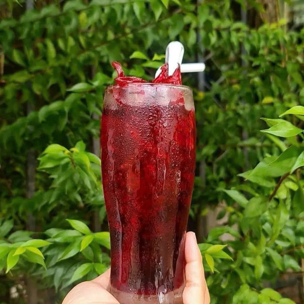 Alternative view of Siro Atiso Đỏ – Giải Nhiệt, Đẹp Da, Tốt Cho Gan 1kg - Winnie House
