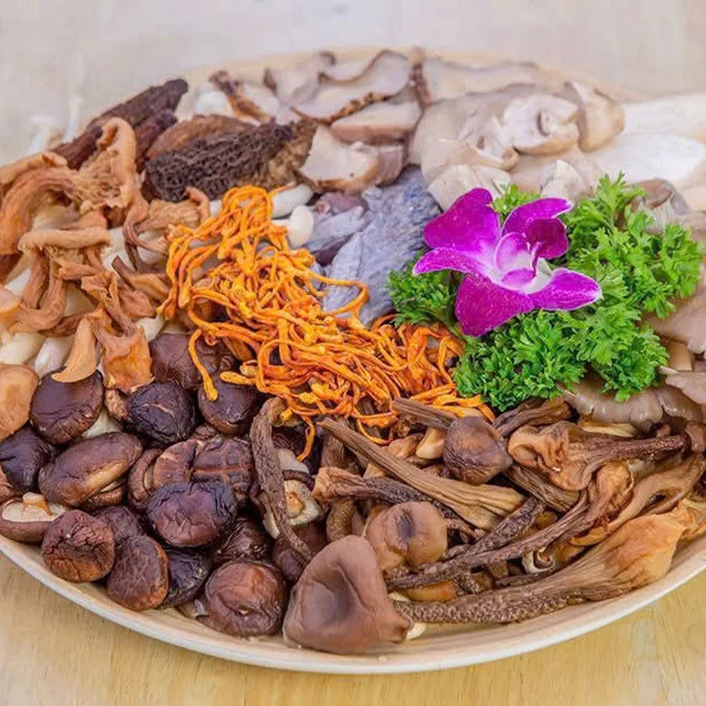 Set Nấm 14 Vị Thượng Hạng - Bữa Ăn Ngon, Sức Khỏe Dồi Dào 100g - Winnie House