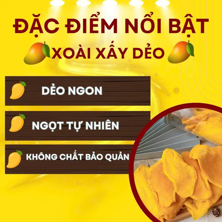 Alternative view of Xoài Sấy Dẻo Hủ 300g Tc11 - Lady's Passion